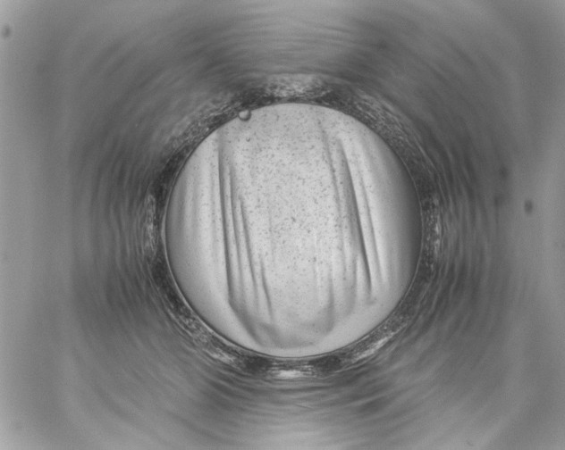 X0000057080510200510071849