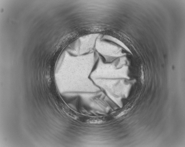 X0000057080512200510071849