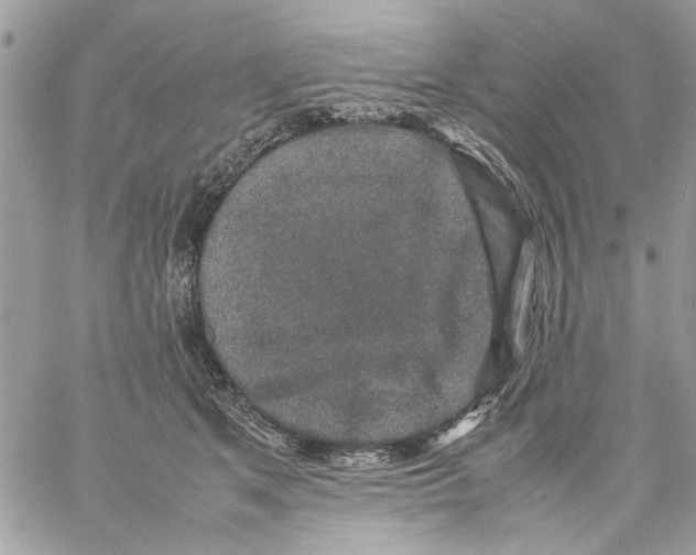 X0000057080513200510071848