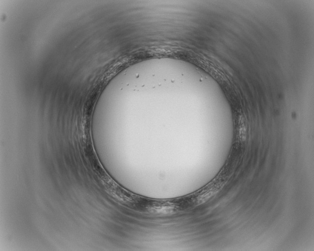 X0000057080514200510071848