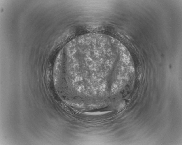 X0000057080515200510071848