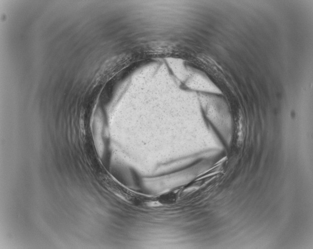 X0000057080516200510071848