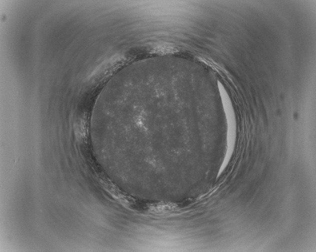 X0000057080517200510071848