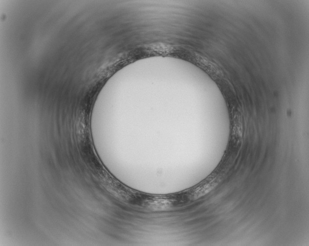 X0000057080518200510071848