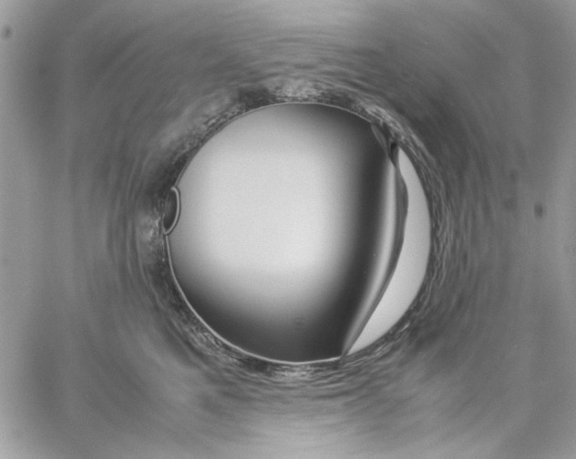 X0000057080521200510071848