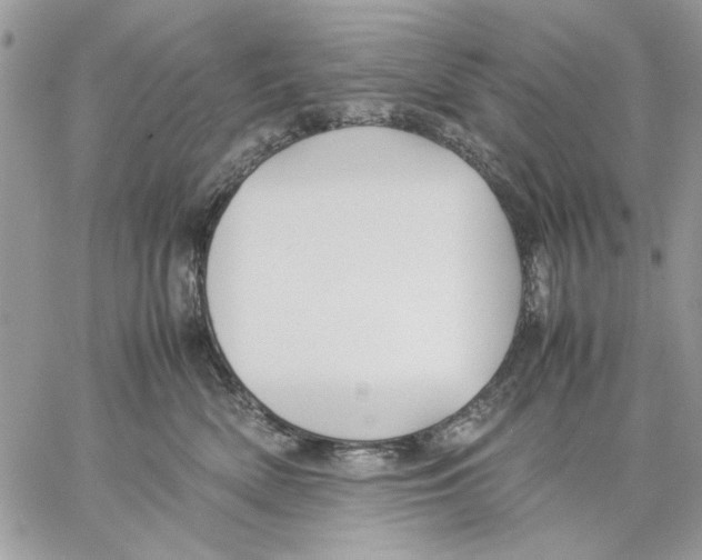 X0000057080522200510071848