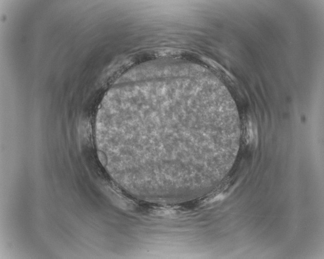 X0000057080523200510071848