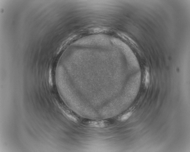 X0000057080524200510071848