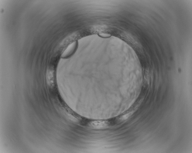 X0000057080526200510071848