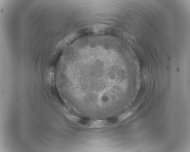 X0000057080527200510071848