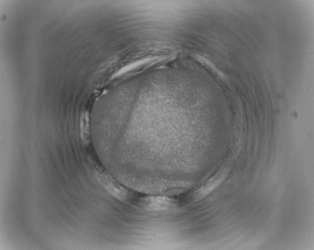 X0000057080528200510071848