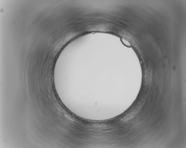 X0000057080529200510071847