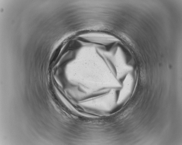 X0000057080532200510071848