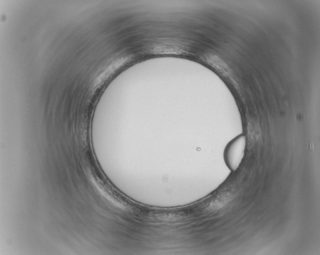 X0000057080533200510071848