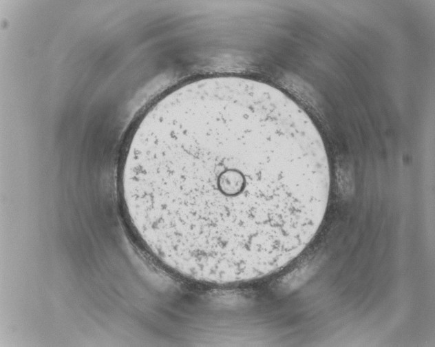 X0000057080534200510071848