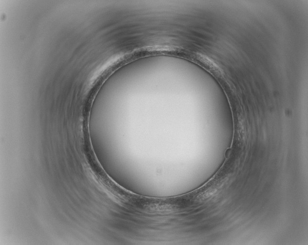 X0000057080535200510071848