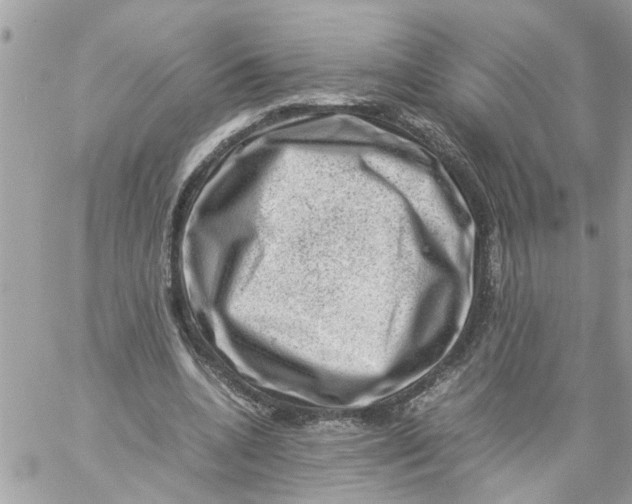 X0000057080536200510071848