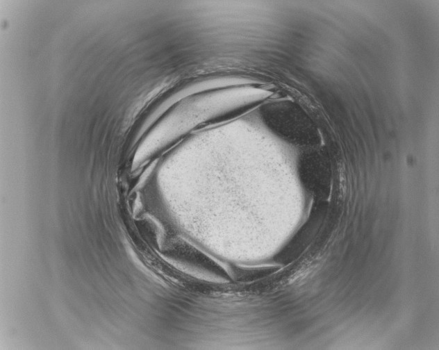 X0000057080538200510071848