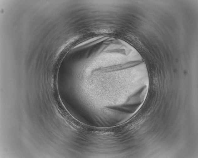 X0000057080539200510071848