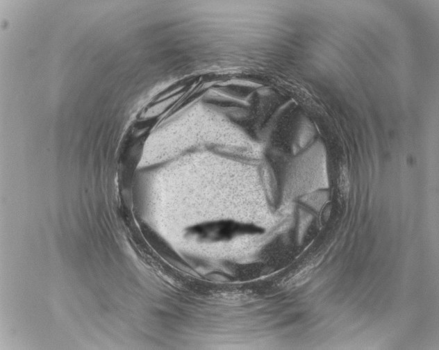 X0000057080540200510071848