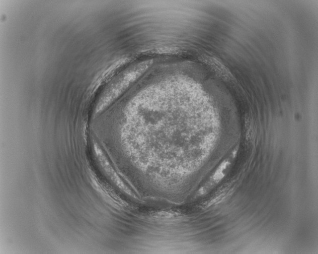 X0000057080542200510071848