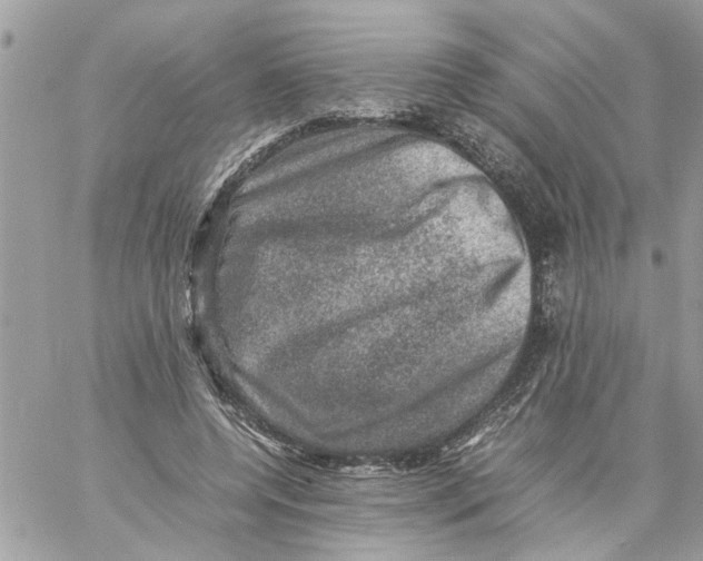 X0000057080544200510071848