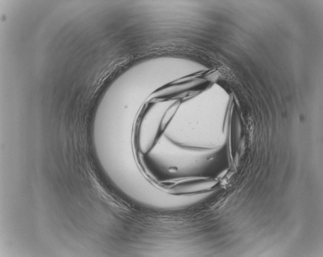 X0000057080546200510071848