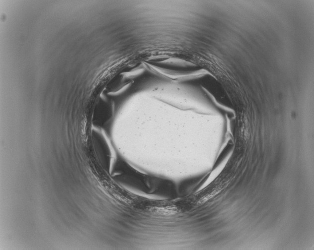 X0000057080548200510071848