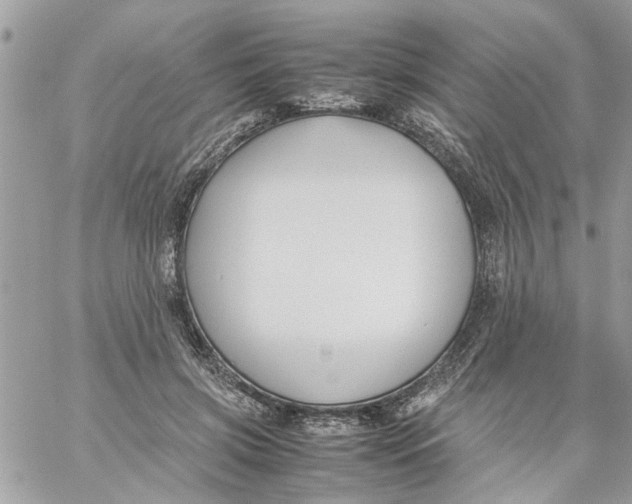 X0000057080549200510071848