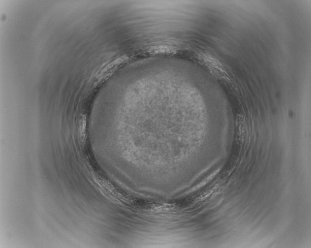 X0000057080550200510071848