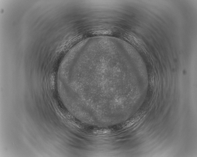 X0000057080551200510071848