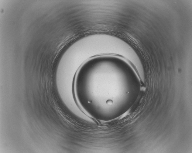 X0000057080552200510071848