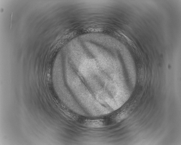 X0000057080553200510071848