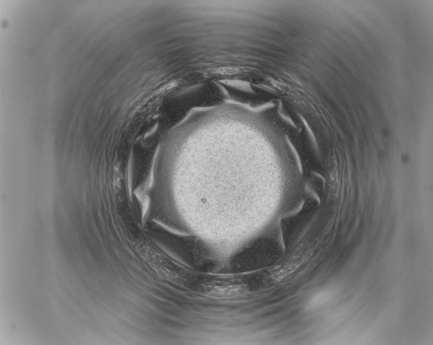 X0000057080555200510071848