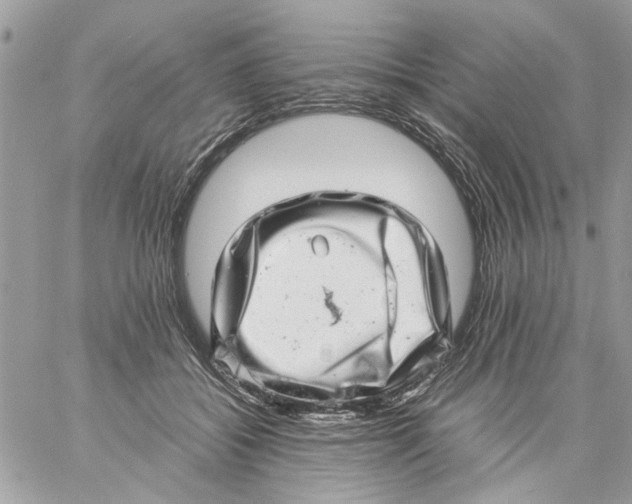 X0000057080556200510071848