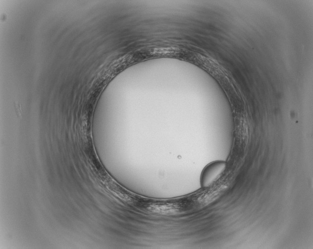 X0000057080557200510071848