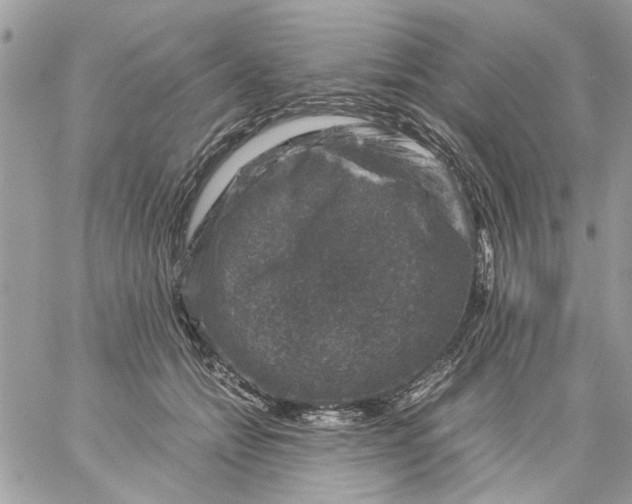 X0000057080558200510071848