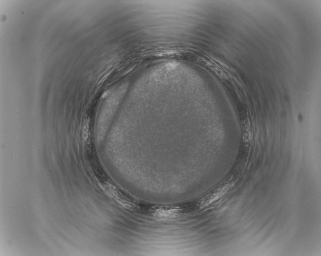 X0000057080560200510071848