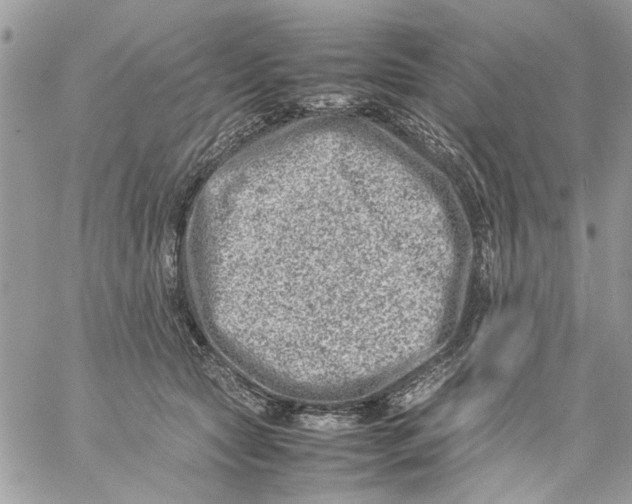 X0000057080561200510071848