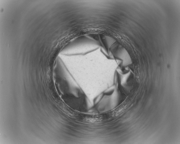 X0000057080563200510071848