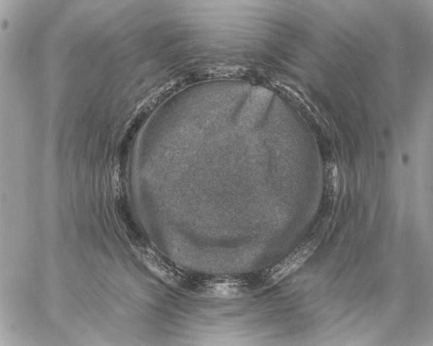 X0000057080564200510071848