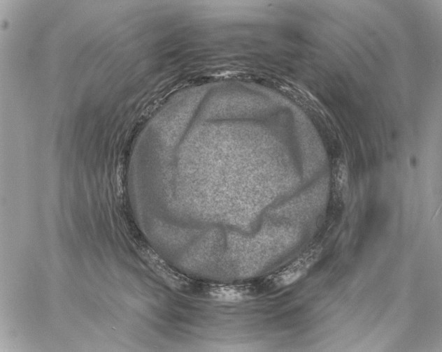 X0000057080565200510071848