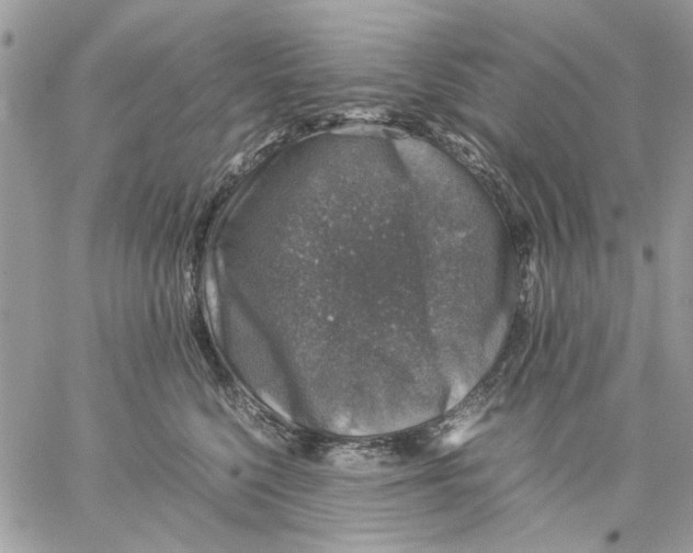 X0000057080568200510071848