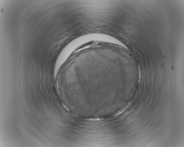 X0000057080570200510071848