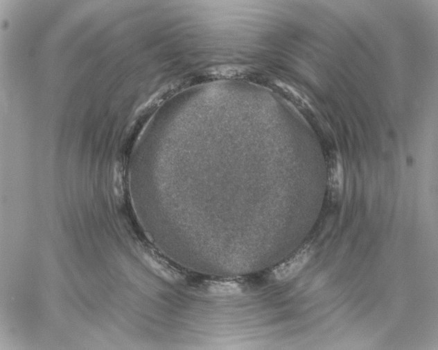 X0000057080572200510071848