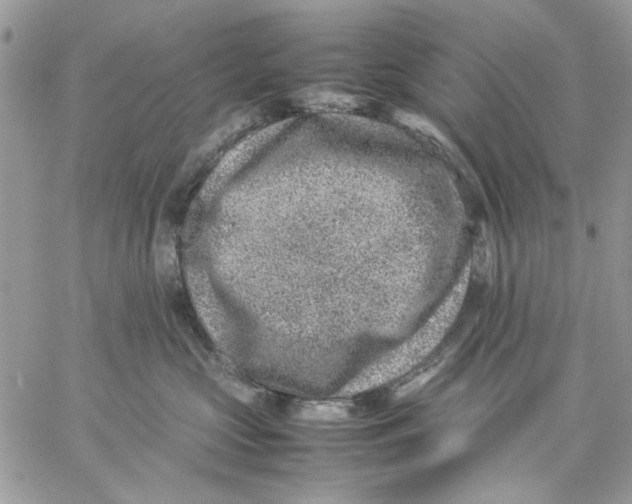 X0000057080573200510071848