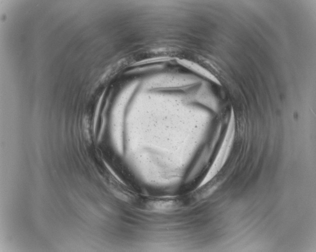 X0000057080575200510071848