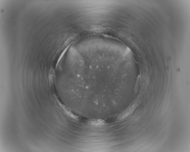 X0000057080576200510071848