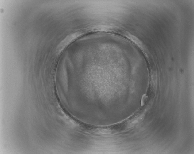 X0000057080577200510071847