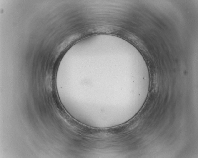 X0000057080578200510071847